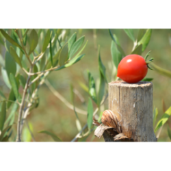 Passata di pomodoro fiaschetto