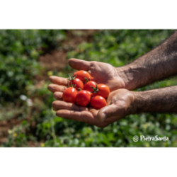 Passata di pomodoro fiaschetto